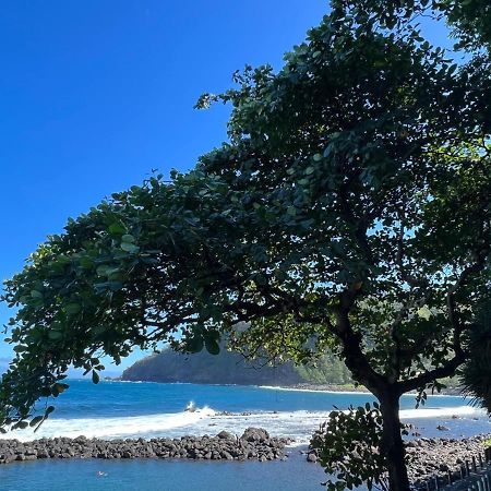 Le Liseron Creole - Entre Terre, Mer Et Riviere - Proche Toutes Commodites Saint-Joseph Εξωτερικό φωτογραφία