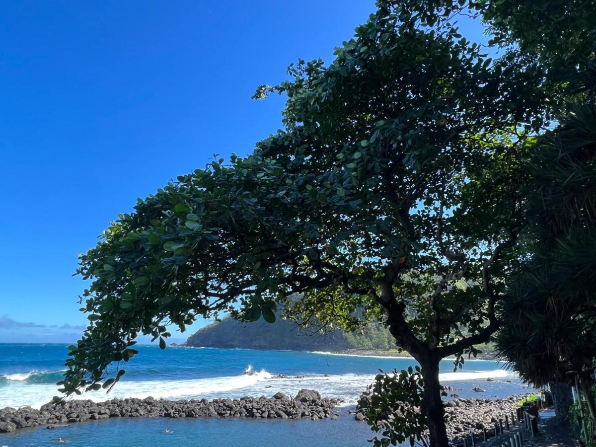 Le Liseron Creole - Entre Terre, Mer Et Riviere - Proche Toutes Commodites Saint-Joseph Εξωτερικό φωτογραφία